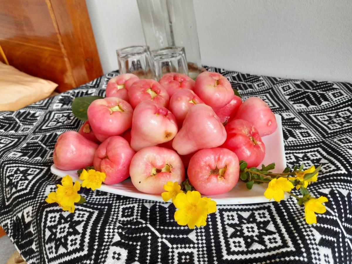 Homestay Thao Ly Mai Chau Hoa Binh