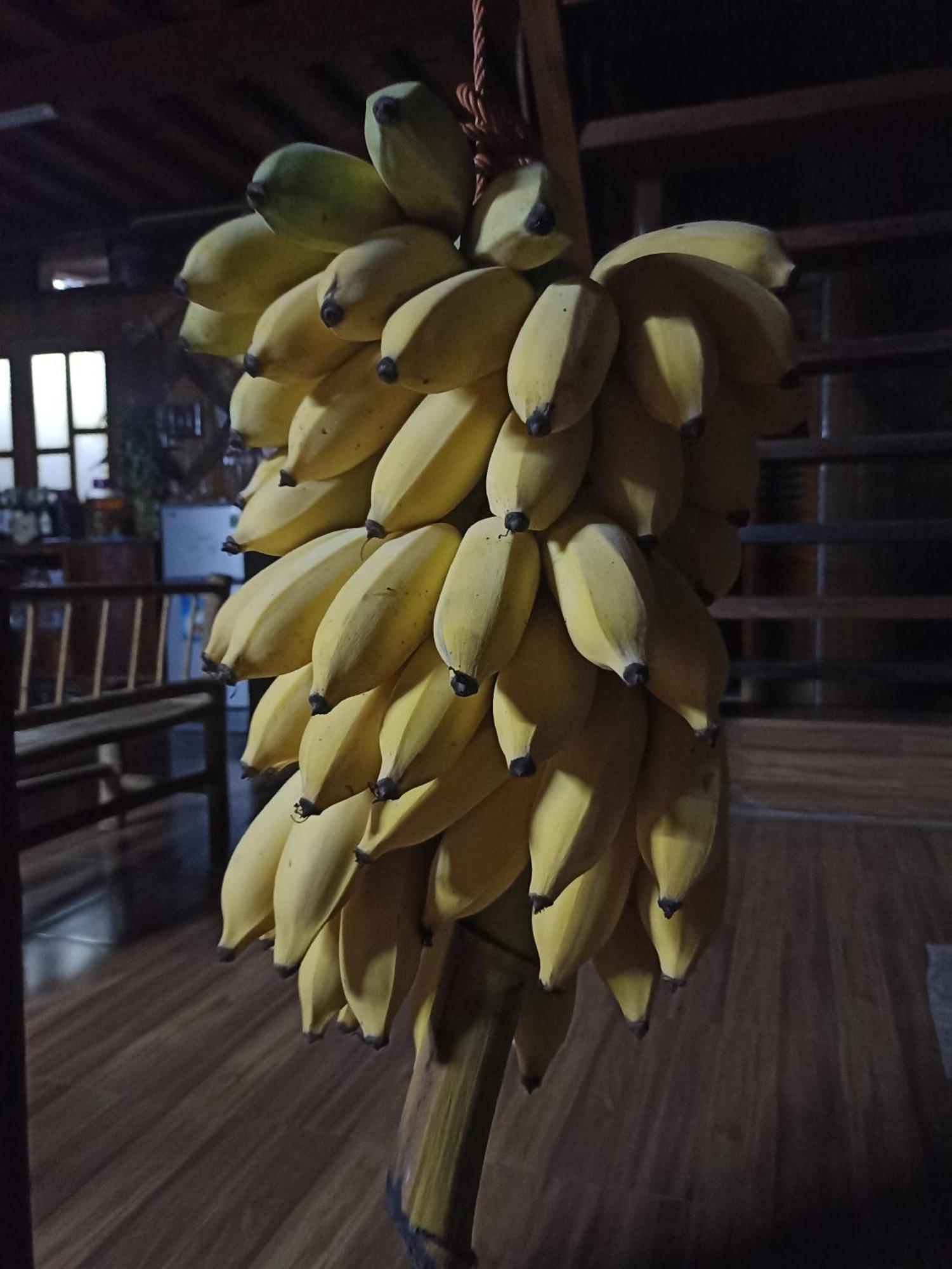 Homestay Thao Ly Mai Chau