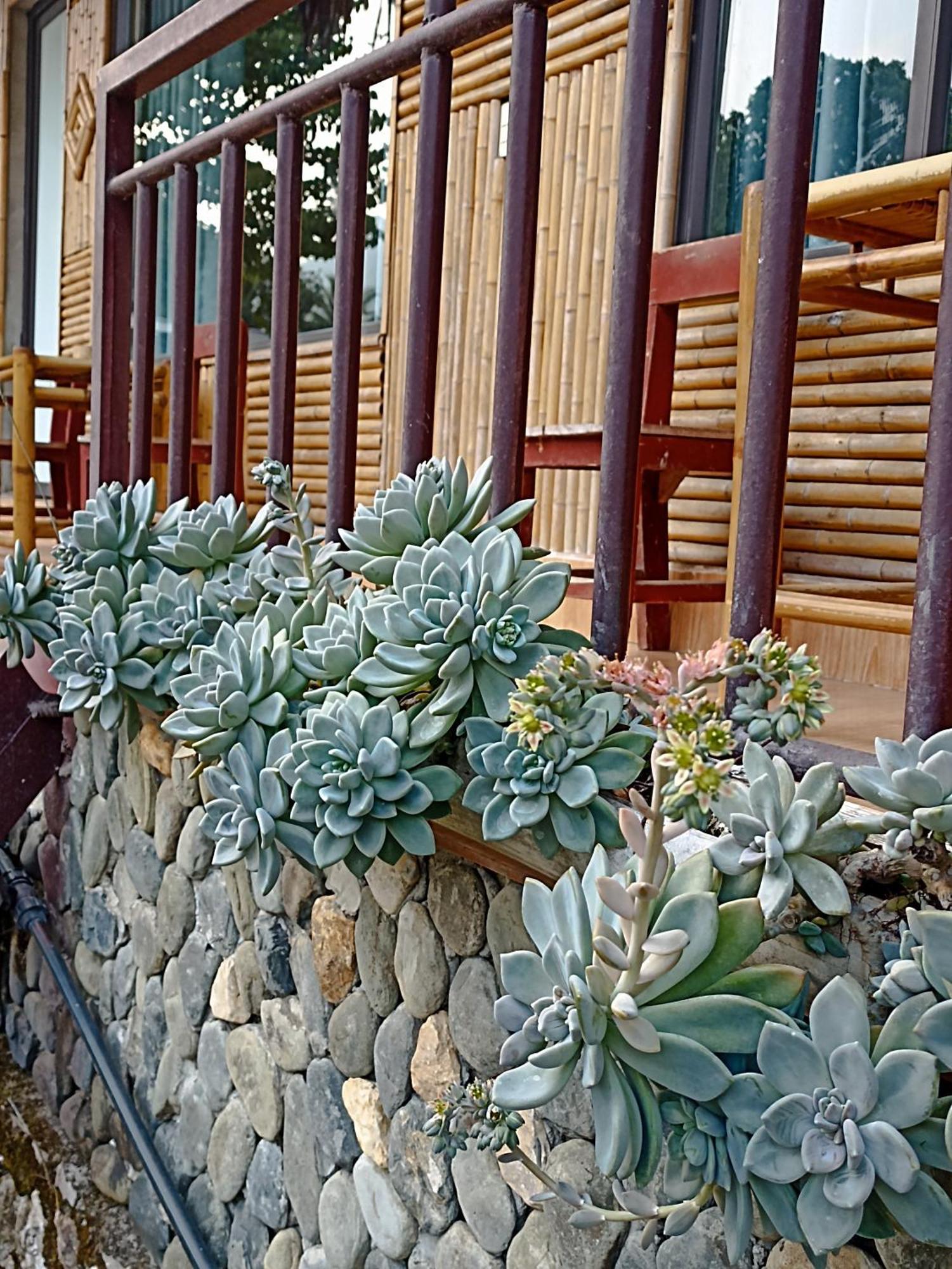 Thao Ly Mai Chau Homestay Hoa Binh